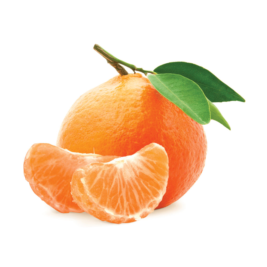 mandarins-primefoods-eg