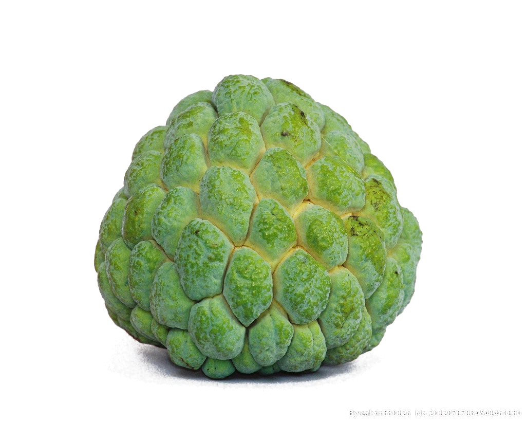 sugar-apple-or-custard-apple-free-stock-photo-public-domain-pictures